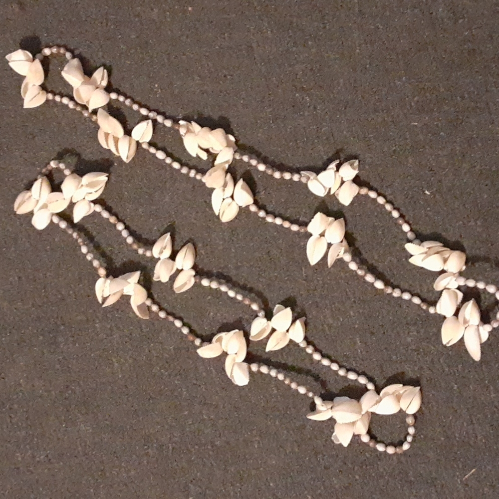 Pooka Shell Decor